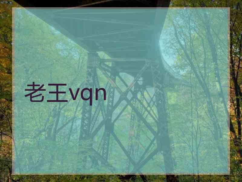 老王vqn 老王vqn