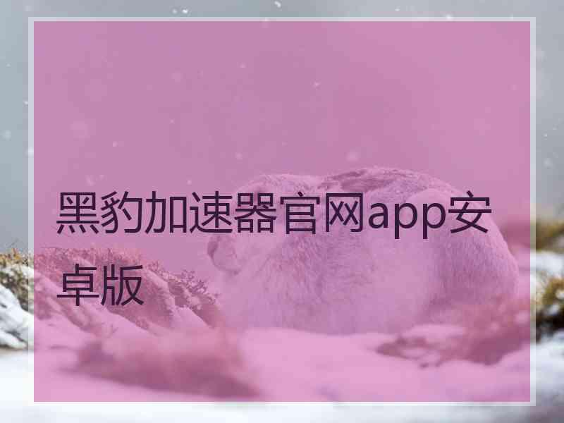 黑豹加速器官网app安卓版
