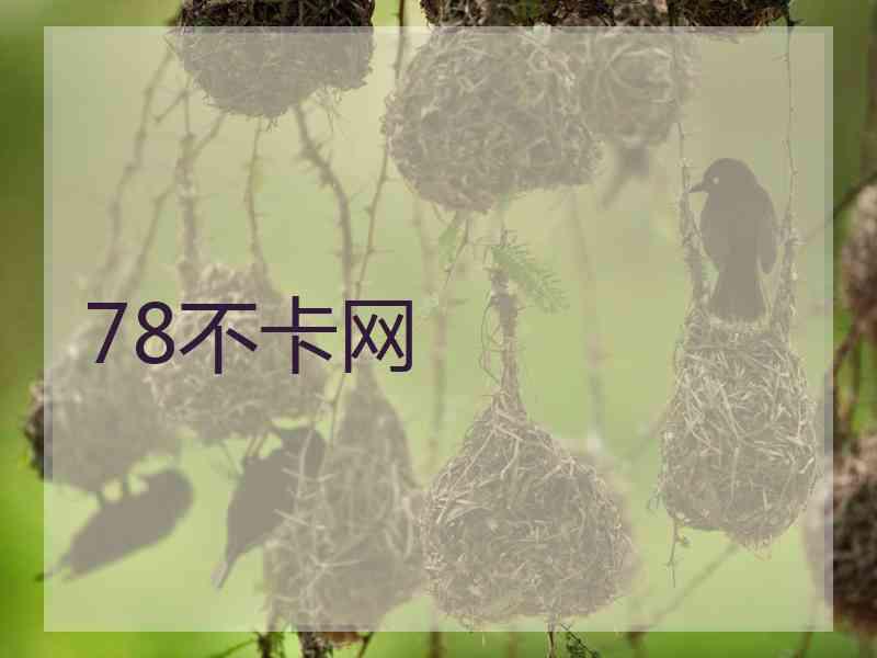 78不卡网 78不卡网