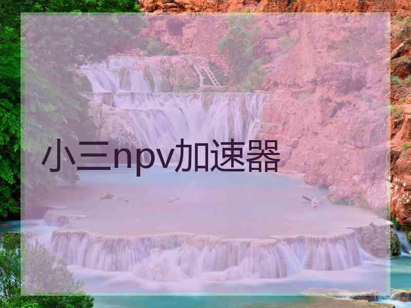 小三npv加速器