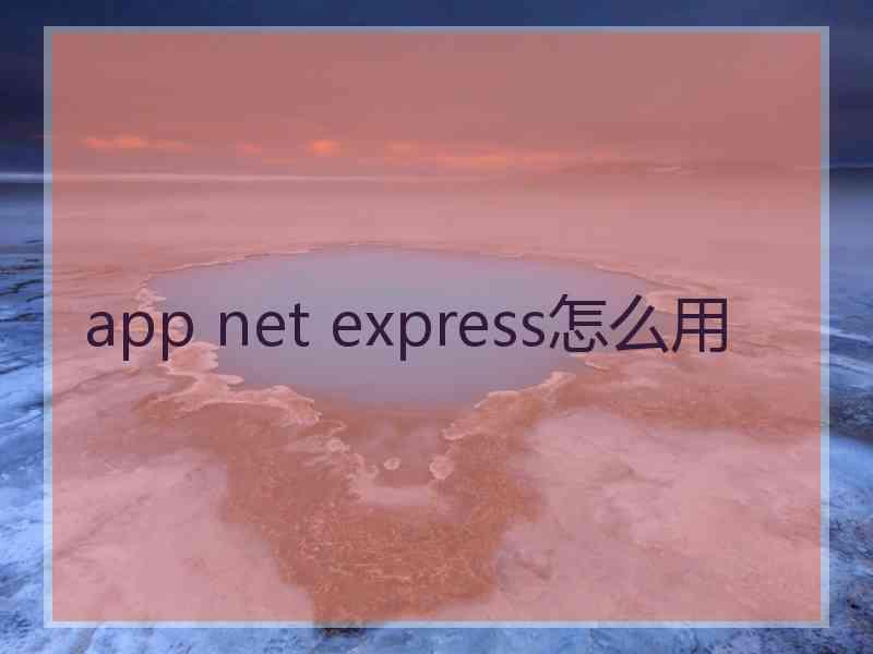 app net express怎么用