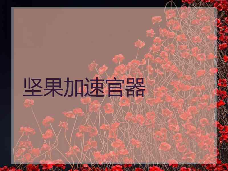 坚果加速官器