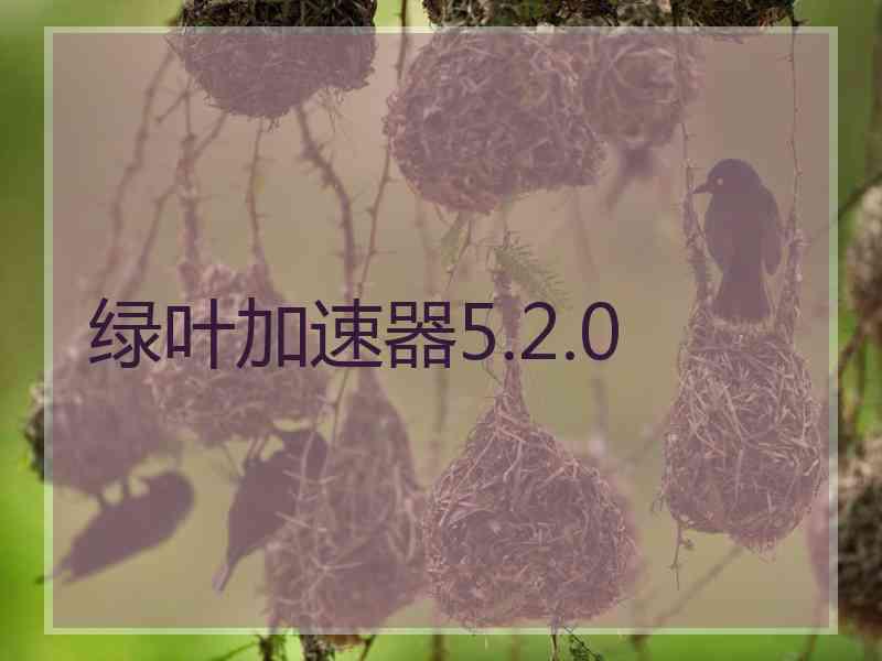 绿叶加速器5.2.0