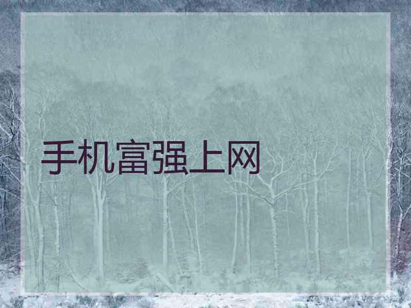 手机富强上网