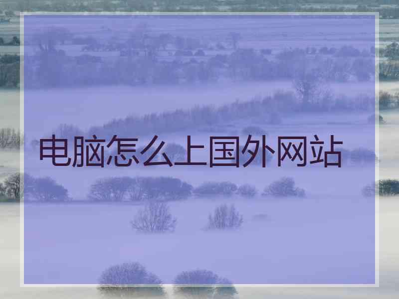 电脑怎么上国外网站