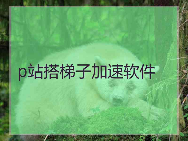p站搭梯子加速软件