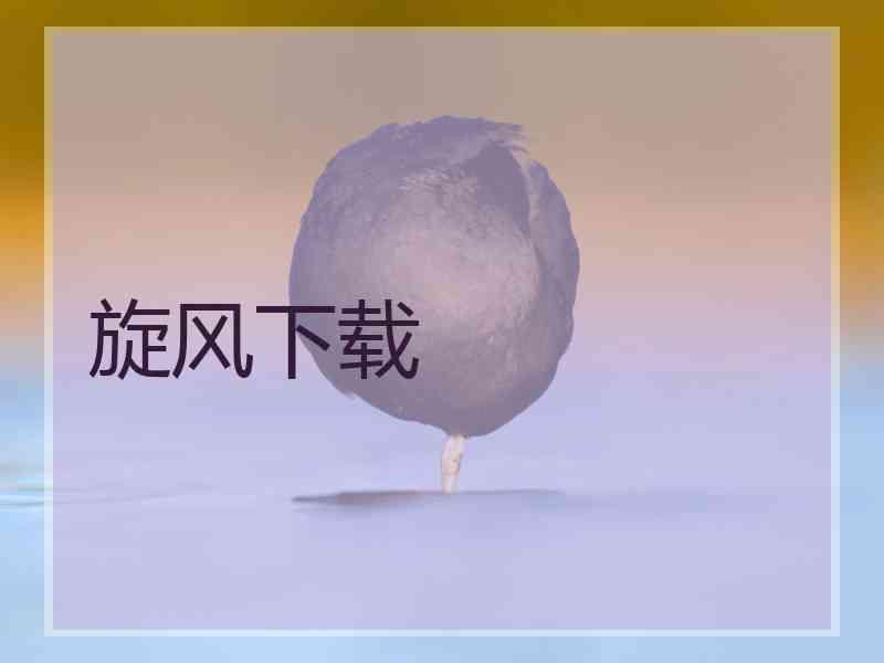 旋风下载
