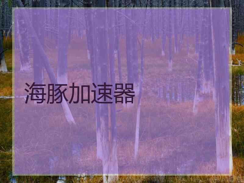 海豚加速器