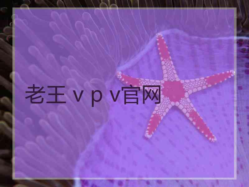 老王 v p v官网