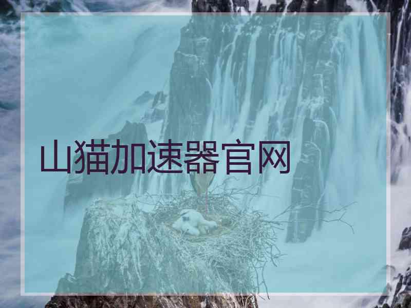 山猫加速器官网