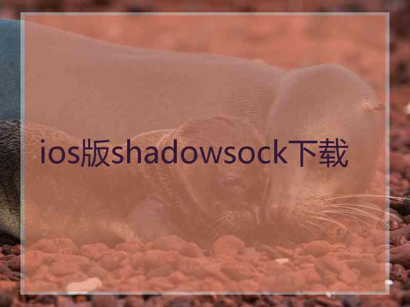 ios版shadowsock下载