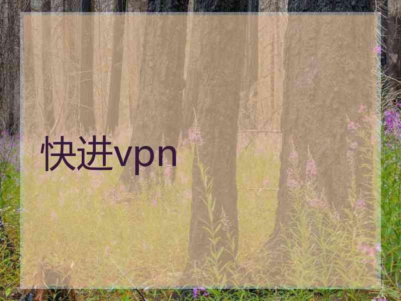 快进vpn