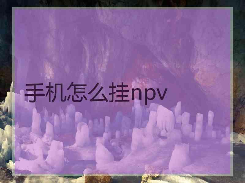 手机怎么挂npv