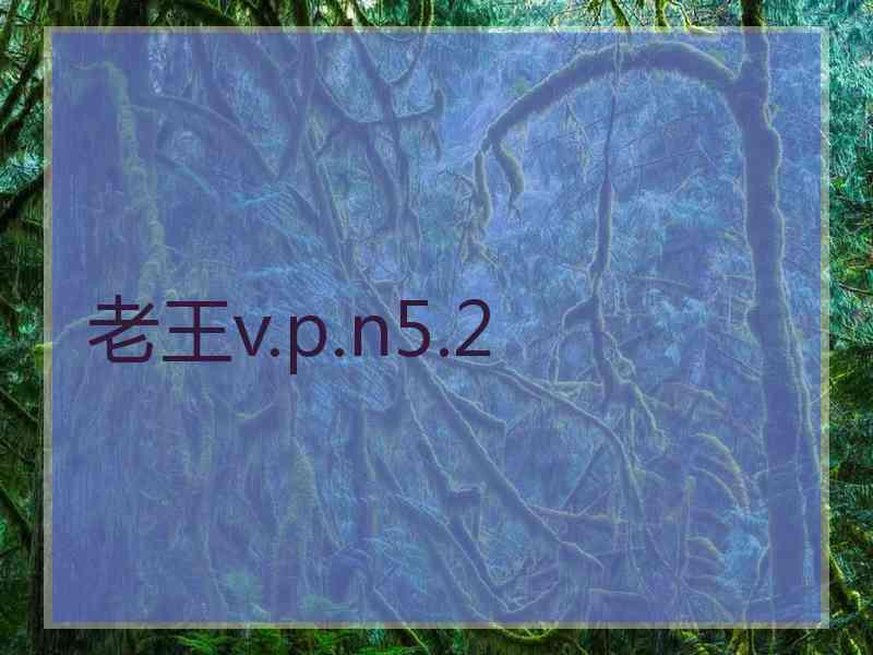 老王v.p.n5.2