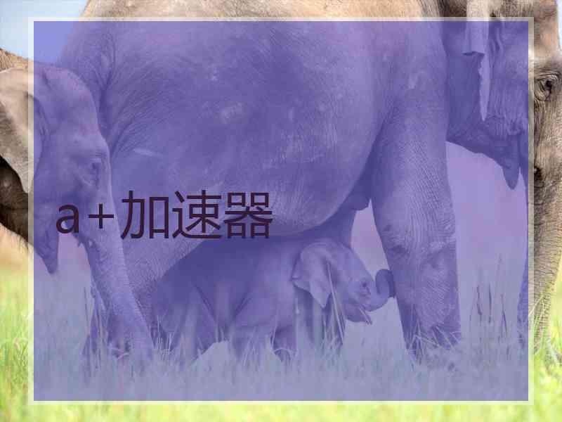 a+加速器