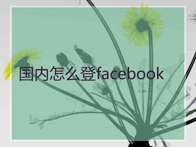 国内怎么登facebook