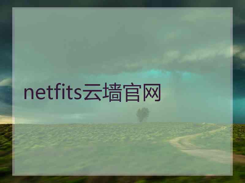 netfits云墙官网