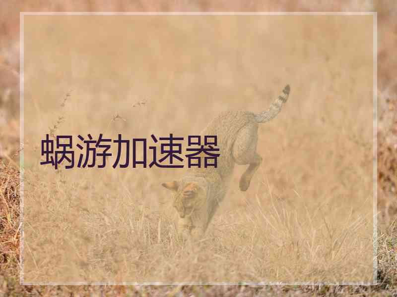 蜗游加速器