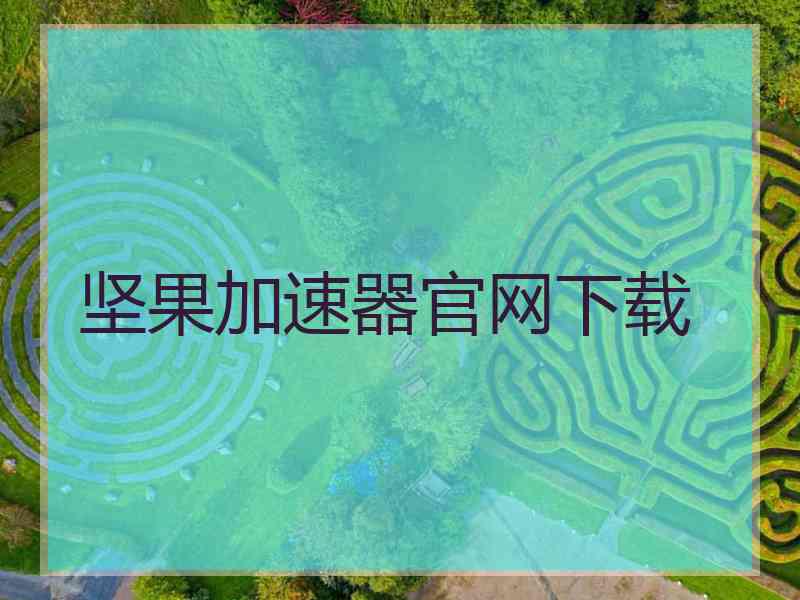 坚果加速器官网下载