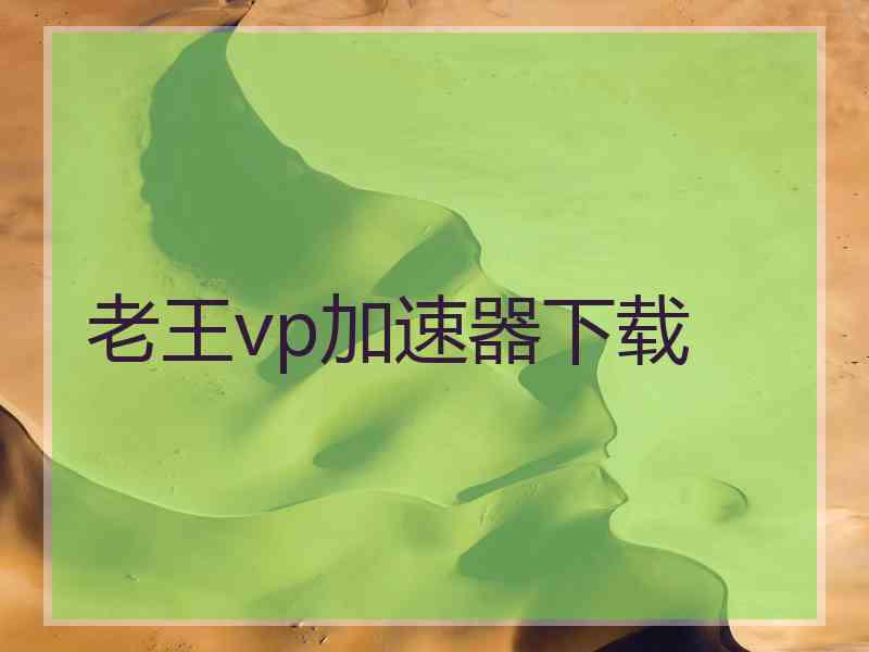 老王vp加速器下载