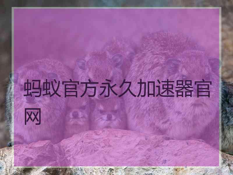 蚂蚁官方永久加速器官网