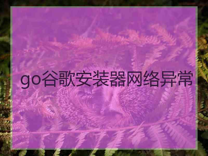go谷歌安装器网络异常