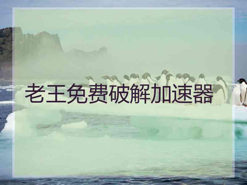 老王免费破解加速器
