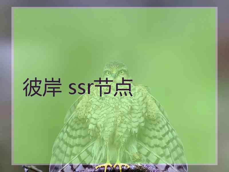 彼岸 ssr节点