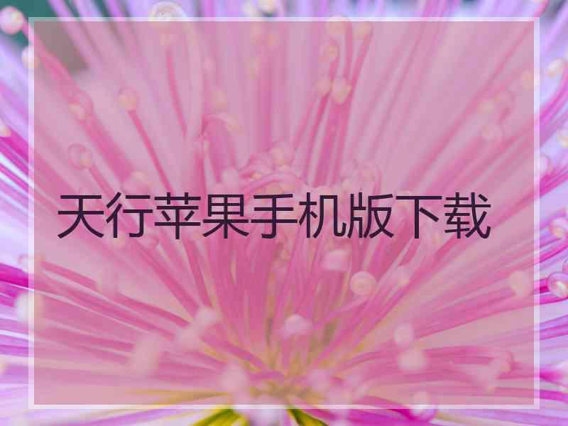 天行苹果手机版下载