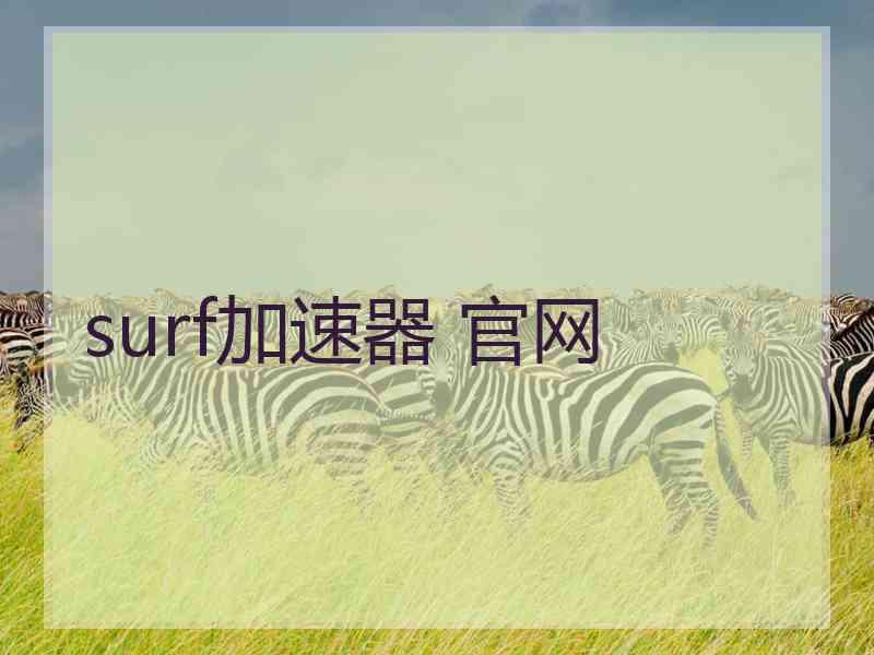 surf加速器 官网