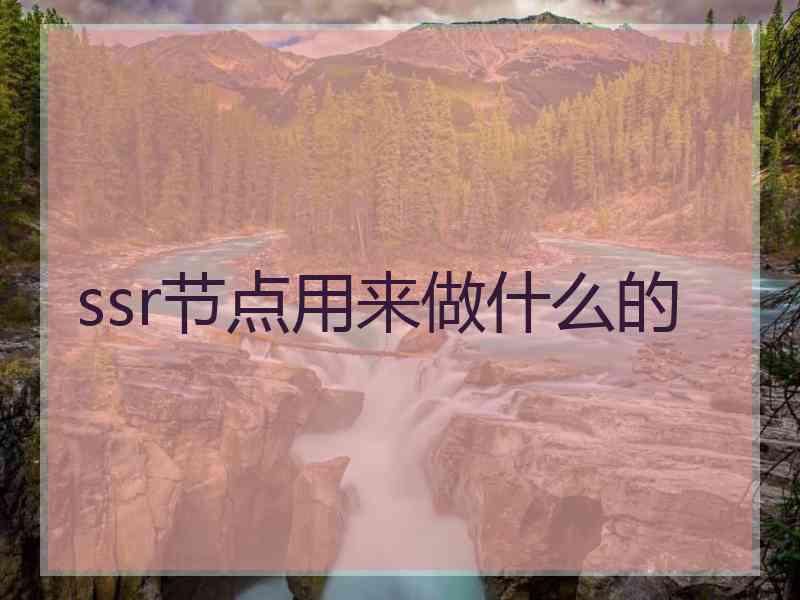 ssr节点用来做什么的