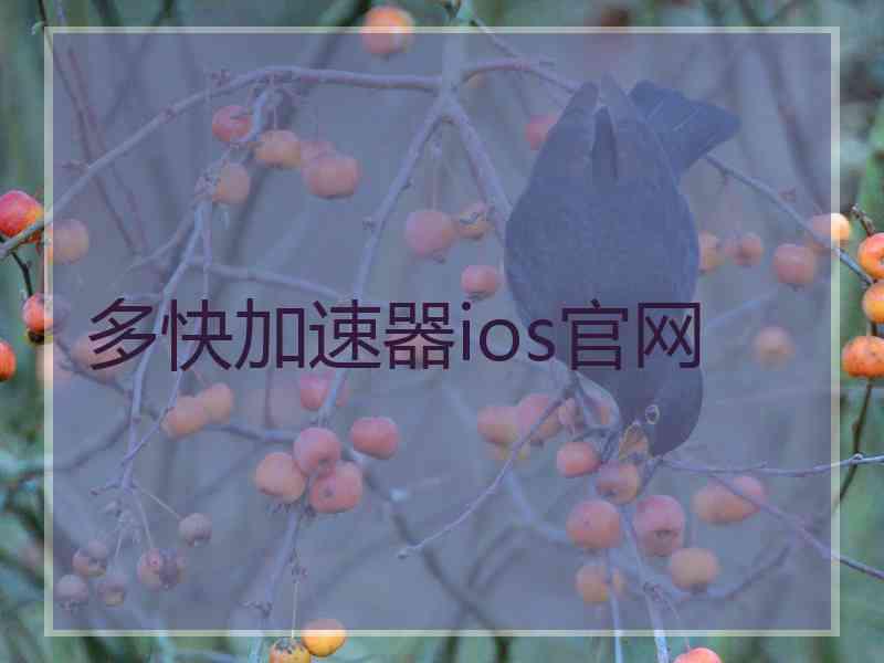 多快加速器ios官网