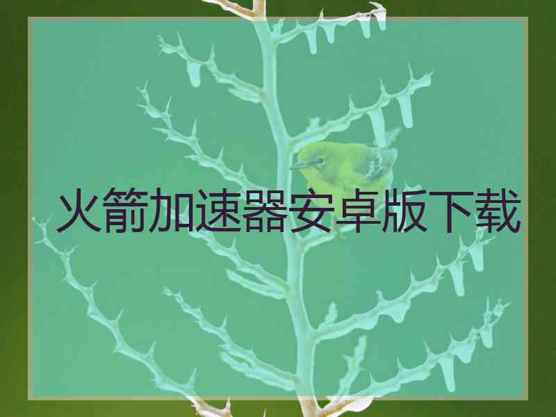 火箭加速器安卓版下载