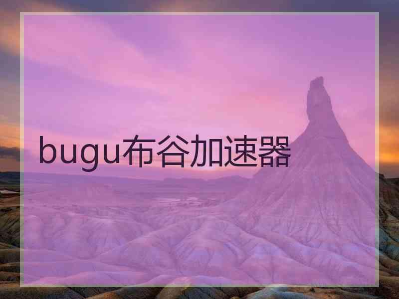 bugu布谷加速器