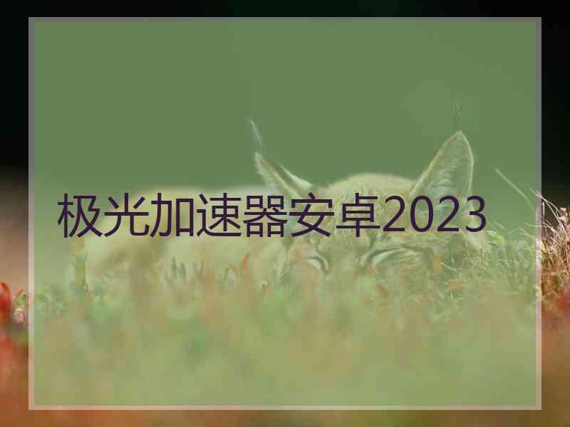极光加速器安卓2023