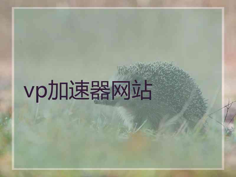 vp加速器网站