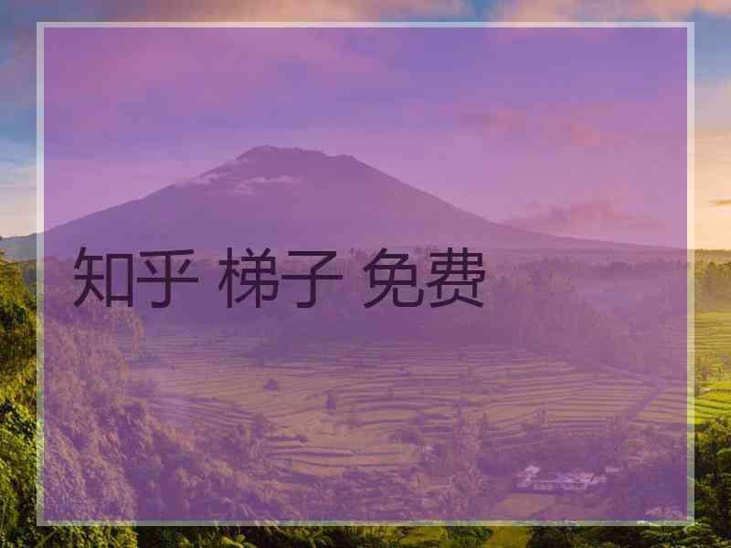 知乎 梯子 免费