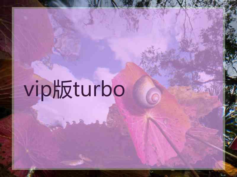 vip版turbo