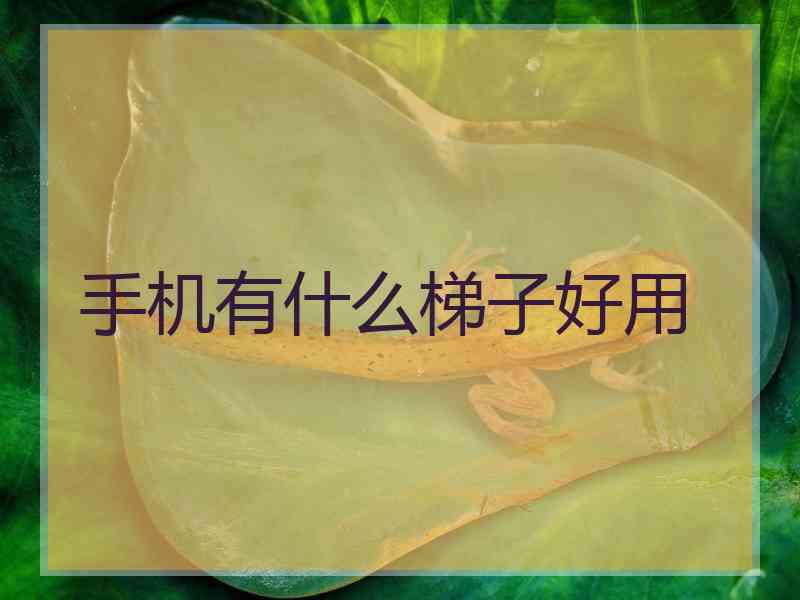 手机有什么梯子好用