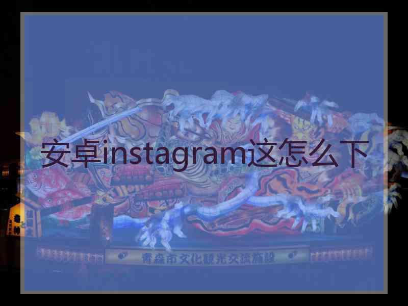 安卓instagram这怎么下