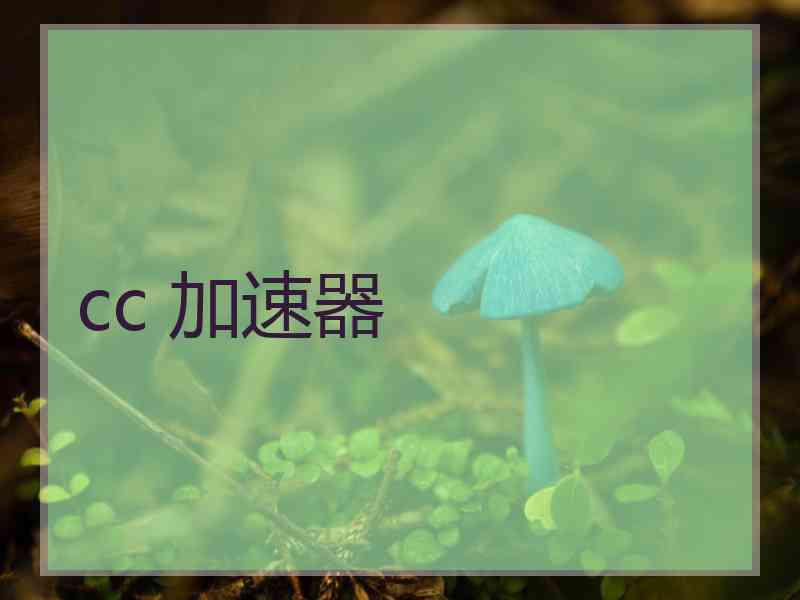 cc 加速器