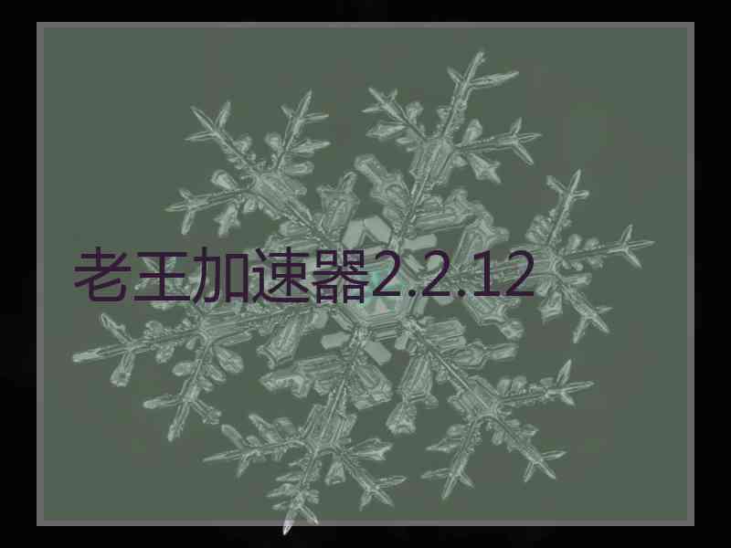 老王加速器2.2.12