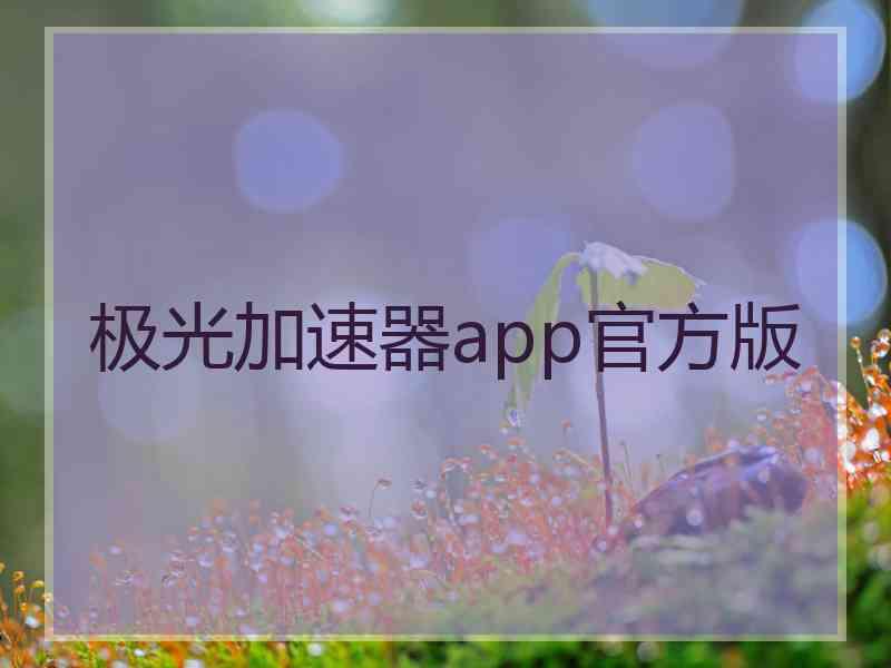 极光加速器app官方版