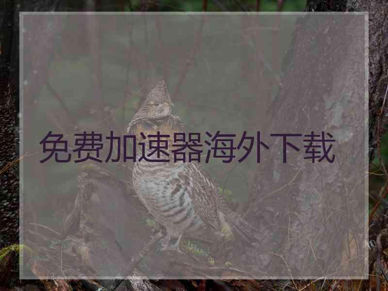免费加速器海外下载