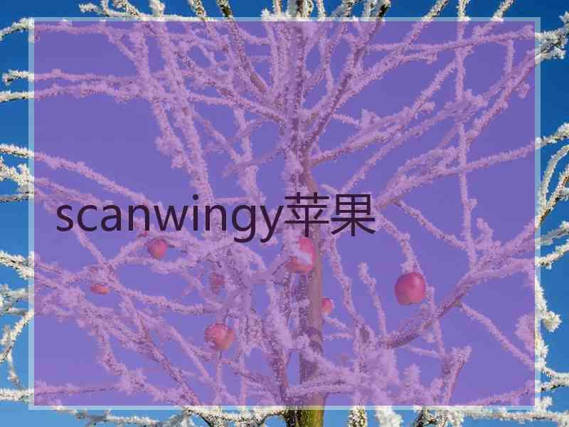 scanwingy苹果