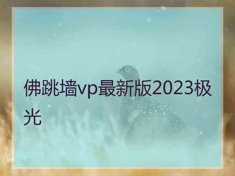 佛跳墙vp最新版2023极光