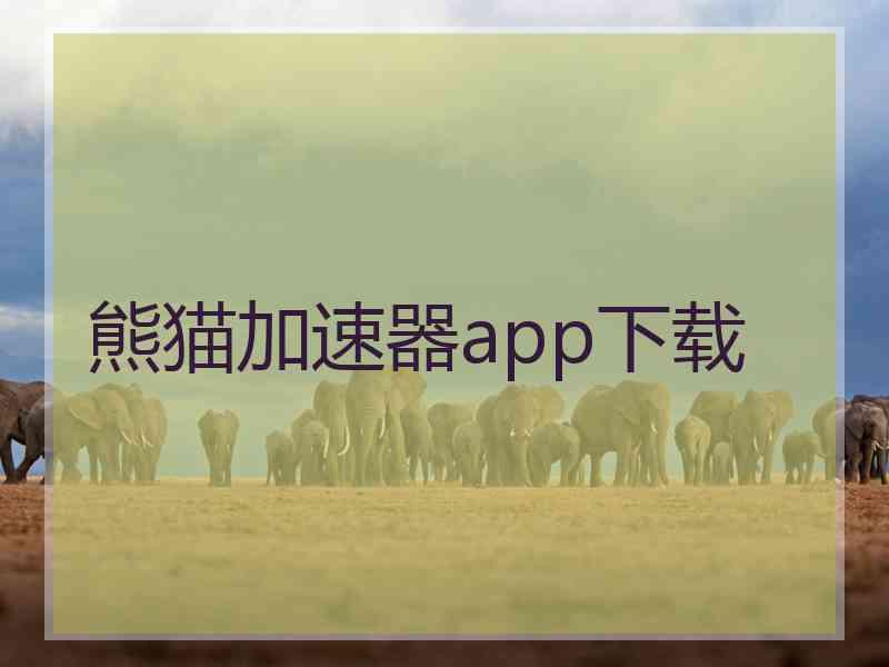 熊猫加速器app下载