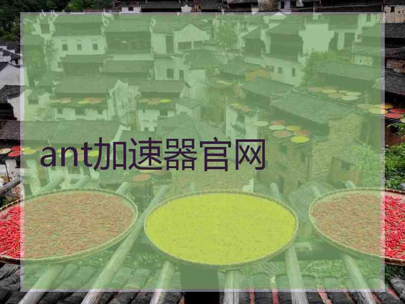 ant加速器官网