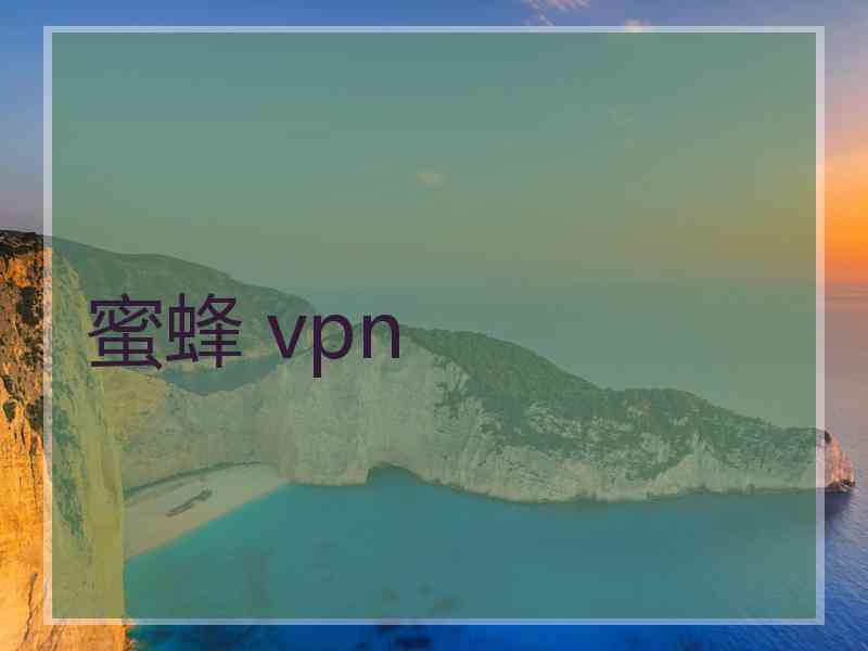 蜜蜂 vpn