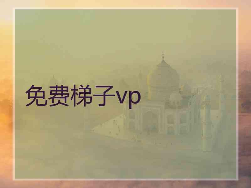 免费梯子vp